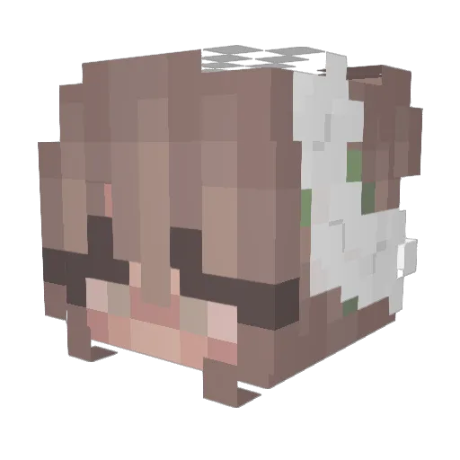 Waikee Minecraft avatar head, 3D render