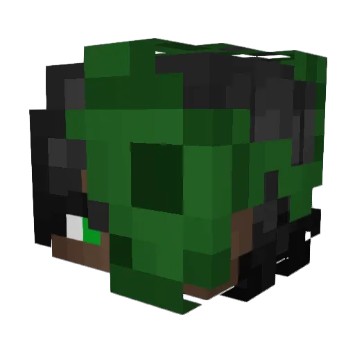 Waileee Minecraft avatar head, 3D render