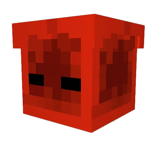 Wainter011 Minecraft avatar head, 3D render