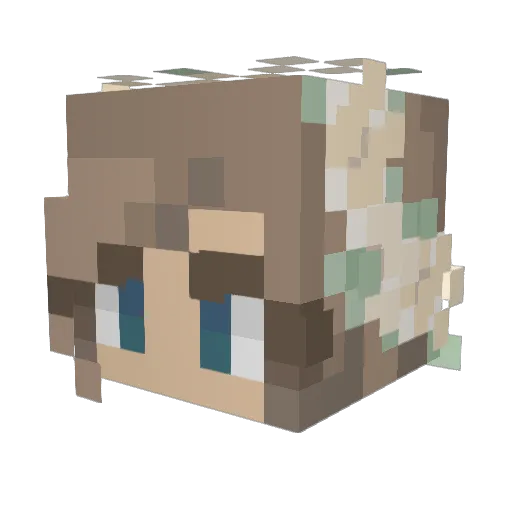 Wairlan Minecraft avatar head, 3D render