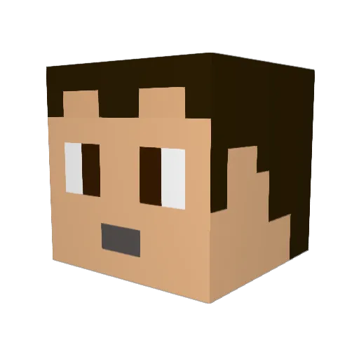 WaiseGnu49 Minecraft avatar head, 3D render