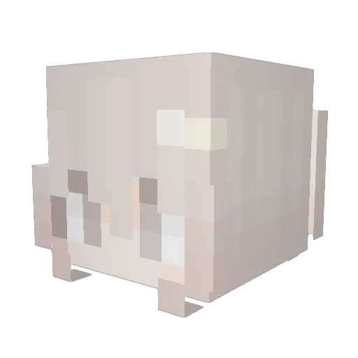 WaitWhat3824 Minecraft avatar head, 3D render
