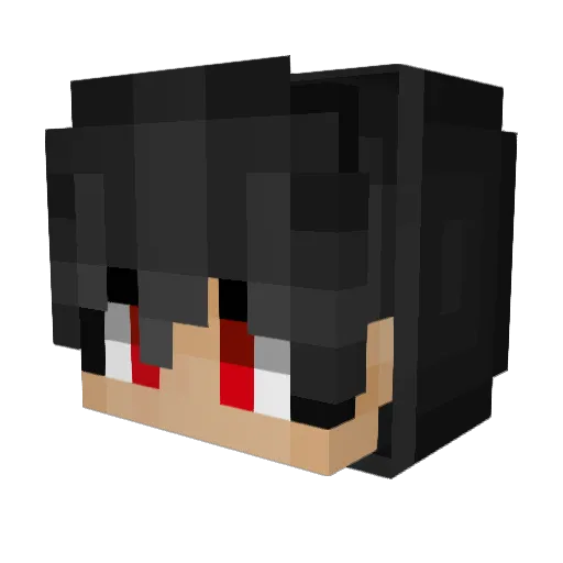 WaitWhatLMAO Minecraft avatar head, 3D render