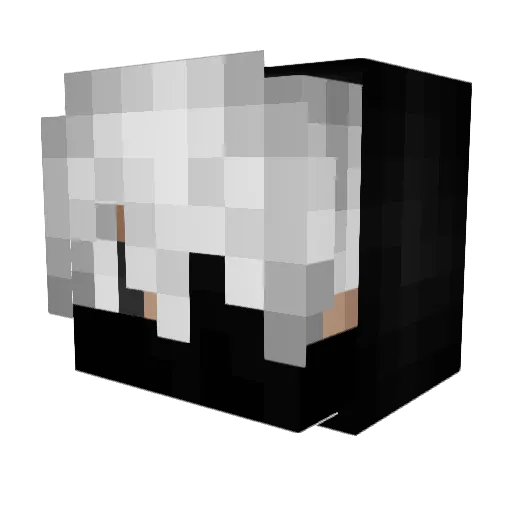 WaitingForYa Minecraft avatar head, 3D render
