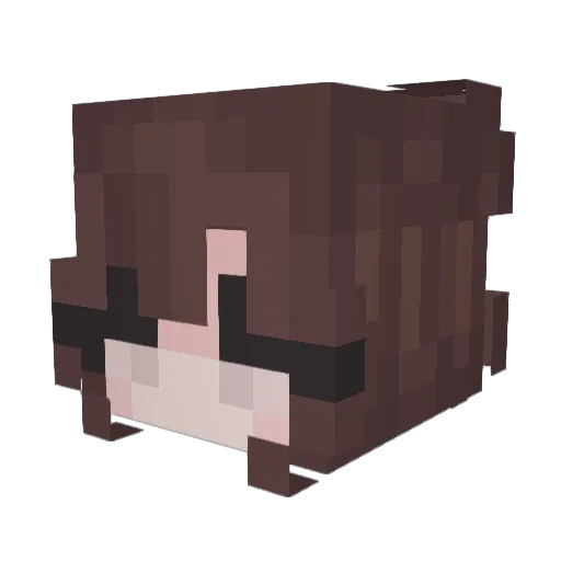 Waitresses Minecraft avatar head, 3D render