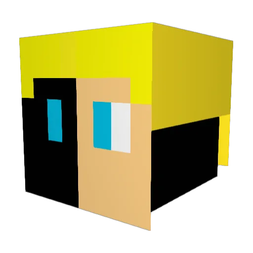 WaitsWaitsWaits Minecraft avatar head, 3D render