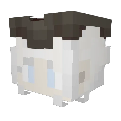 WakanaCrevette Minecraft avatar head, 3D render