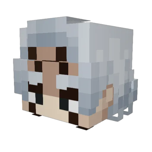 Wakasa07 Minecraft avatar head, 3D render