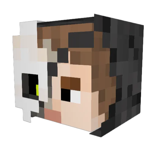 Wake64 Minecraft avatar head, 3D render