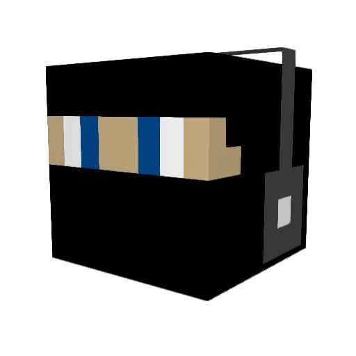 WakeBoarder17 Minecraft avatar head, 3D render