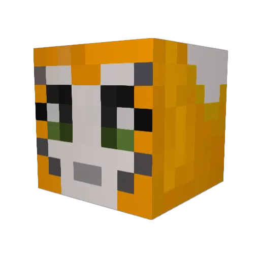 WakeTuck Minecraft avatar head, 3D render