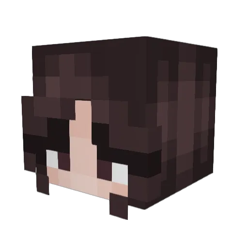 WakeySinn Minecraft avatar head, 3D render