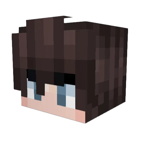 Wakka7 Minecraft avatar head, 3D render