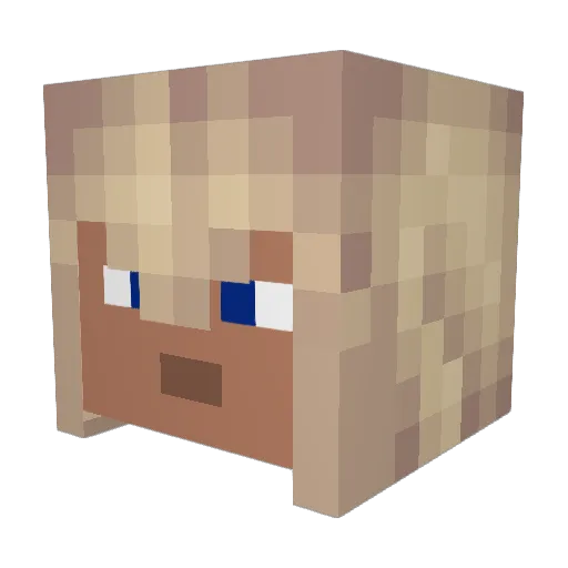 WakoTaco Minecraft avatar head, 3D render