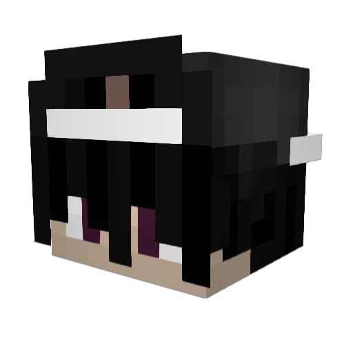 Wakq_ Minecraft avatar head, 3D render