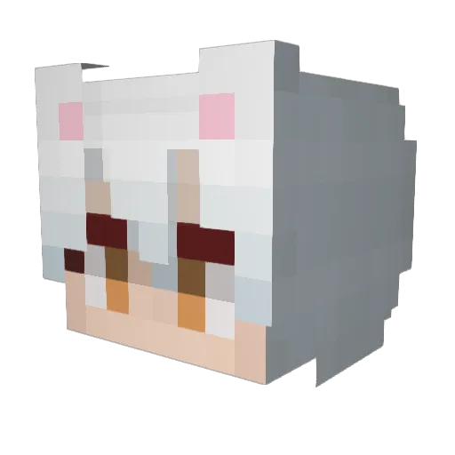 Wakthepugi Minecraft avatar head, 3D render