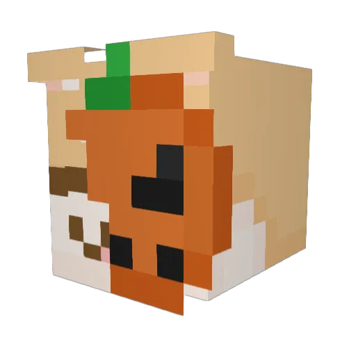 WalWalArrr Minecraft avatar head, 3D render