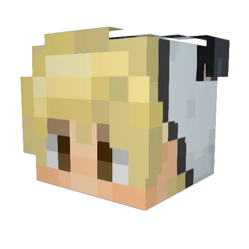 Wal_Lord Minecraft avatar head, 3D render