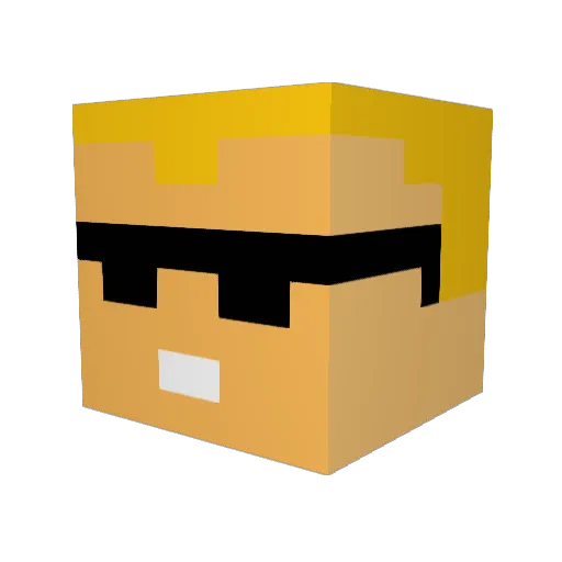 Waldo17 Minecraft avatar head, 3D render