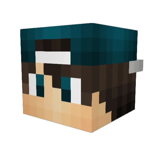 Waldo_Wolf Minecraft avatar head, 3D render