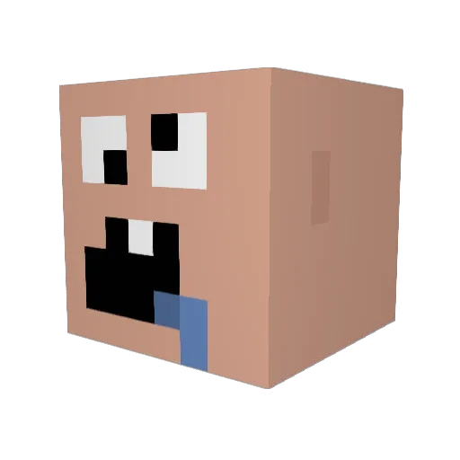 Waldor58 Minecraft avatar head, 3D render