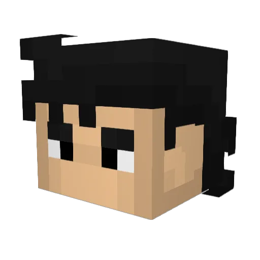 Walek2115 Minecraft avatar head, 3D render