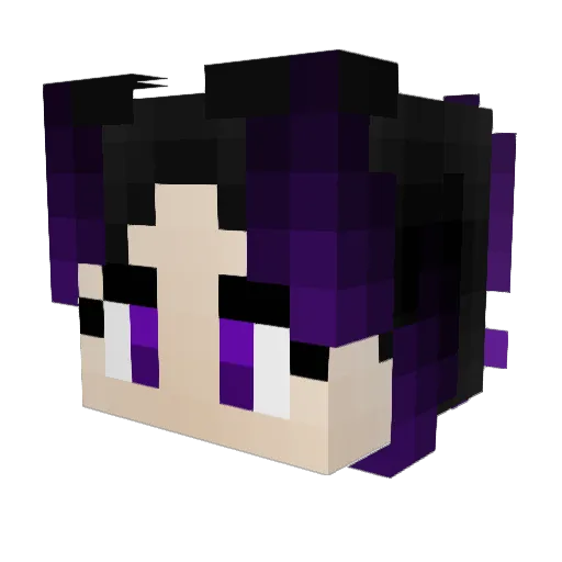 Wales42 Minecraft avatar head, 3D render