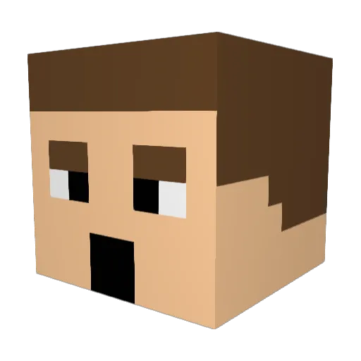 Walidous Minecraft avatar head, 3D render