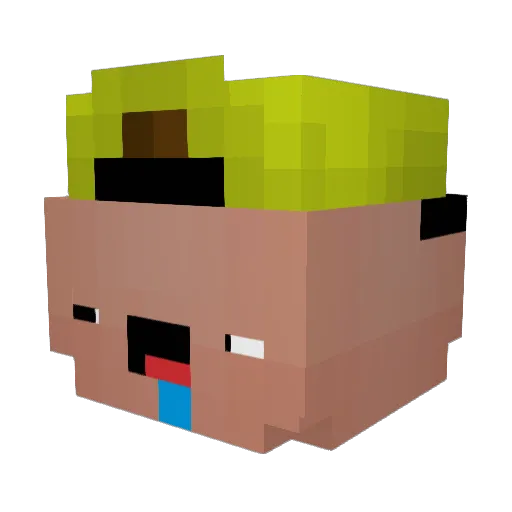 Waliiiiiid_ Minecraft avatar head, 3D render