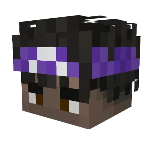 WalisonDaniel Minecraft avatar head, 3D render