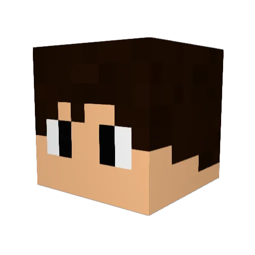 Walk2Fast Minecraft avatar head, 3D render