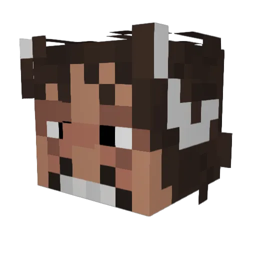 Walker97 Minecraft avatar head, 3D render