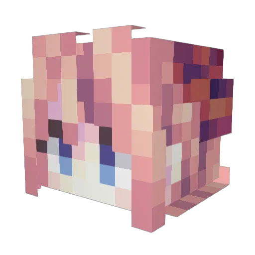 WalkerAlone Minecraft avatar head, 3D render