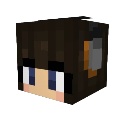 Walker_dll Minecraft avatar head, 3D render