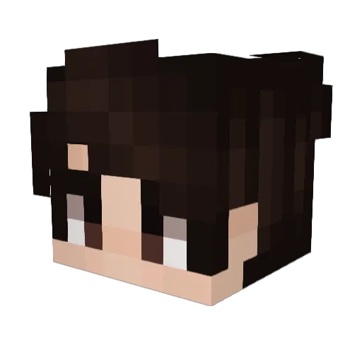 Walkerstick Minecraft avatar head, 3D render