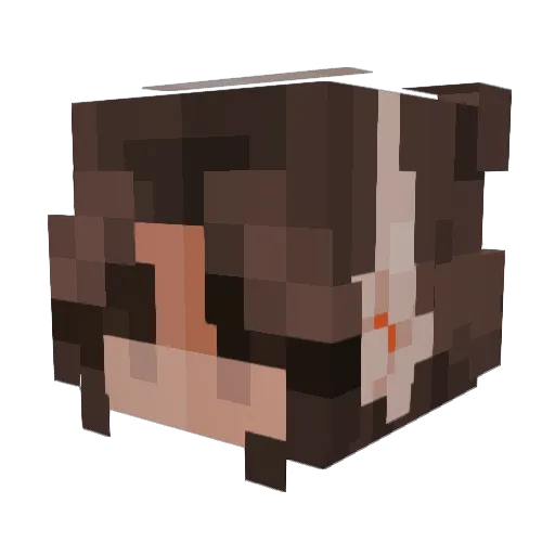 WallE181 Minecraft avatar head, 3D render