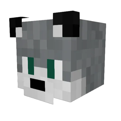 WallFace111 Minecraft avatar head, 3D render