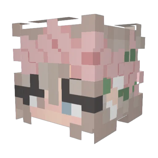WallFlower0891 Minecraft avatar head, 3D render