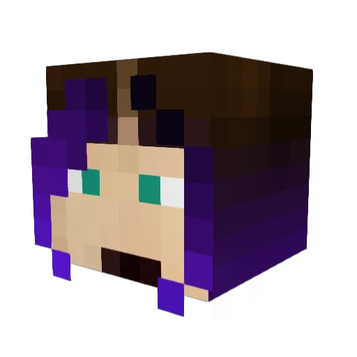 WallHaxx Minecraft avatar head, 3D render