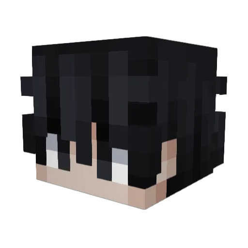 WallNatz Minecraft avatar head, 3D render