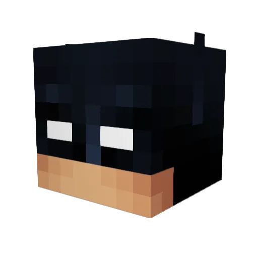 Walla786 Minecraft avatar head, 3D render