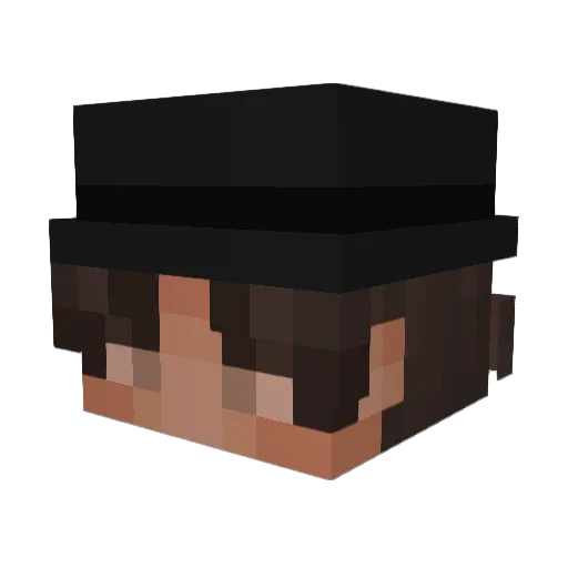 Wallet814 Minecraft avatar head, 3D render