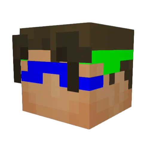 Walleye2277 Minecraft avatar head, 3D render