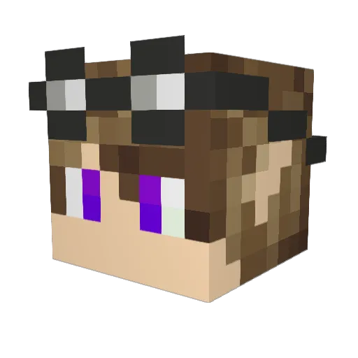 Wallfenstein Minecraft avatar head, 3D render