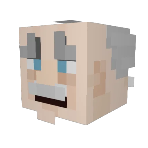 Wallfulz Minecraft avatar head, 3D render