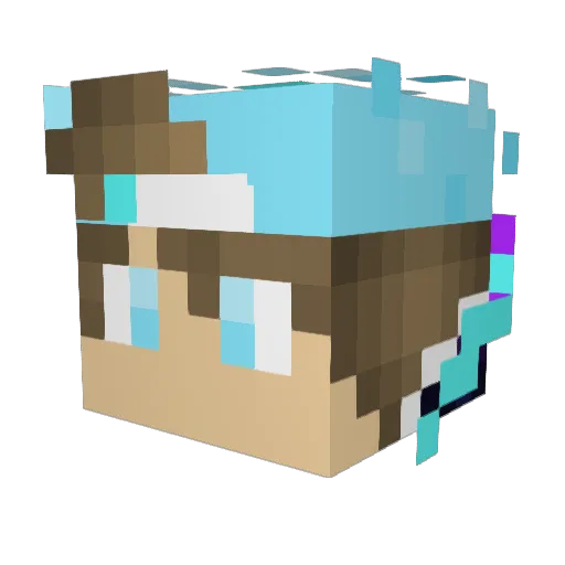 Wallfy Minecraft avatar head, 3D render