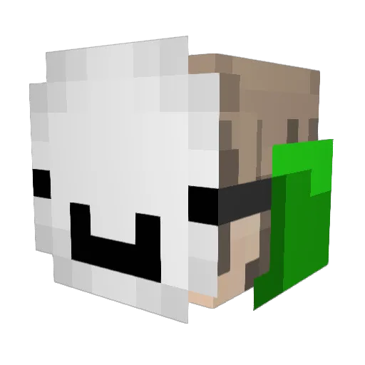 Walli168 Minecraft avatar head, 3D render