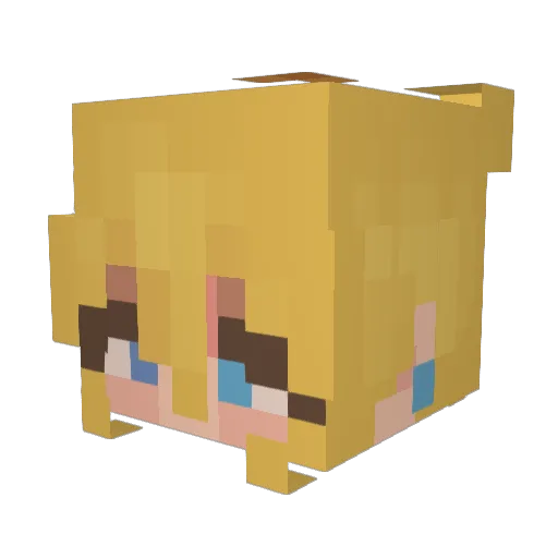 WallofAbyss Minecraft avatar head, 3D render