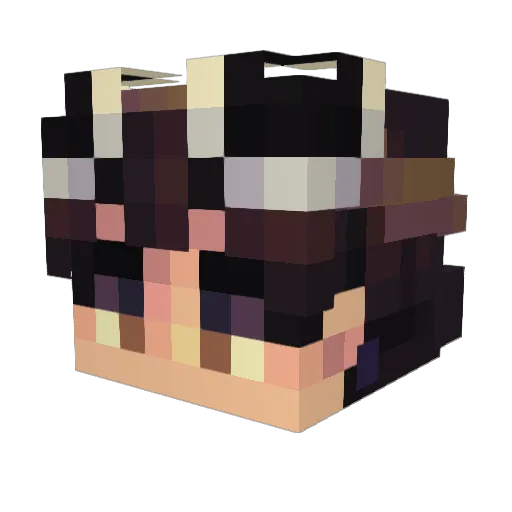 Wallpole Minecraft avatar head, 3D render