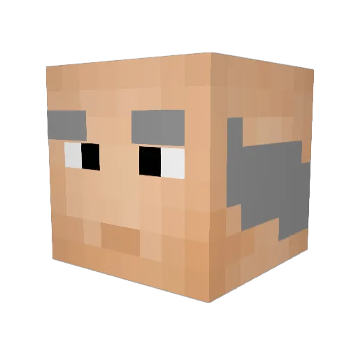 Wallus Minecraft avatar head, 3D render